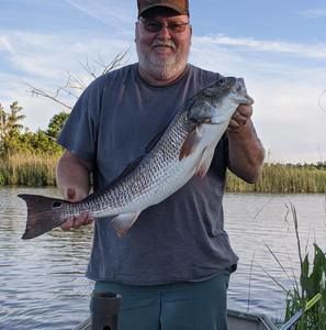 Meet your Posher, Wayne